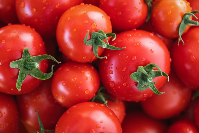 La Tomatina, Spain